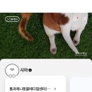 톰과제니 동물메디컬센터 이미지