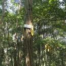 세종이음학교 앞 이미지