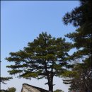 충남중학교 이미지