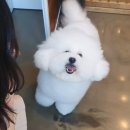 비오비티 네이버블로그