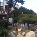 개깎는중 이미지