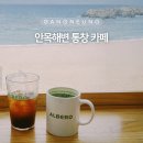 알베로 | 강릉 알베로카페 후기｜가족과 다녀온 바다뷰 카페