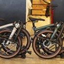 신스포레스트 이미지