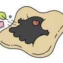 부산썬의원 이미지