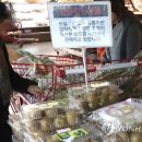 알뜰할인 이미지