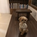 금산다락 네이버블로그