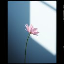 "Ma fille bien-aimée, Seonyeong" 이미지