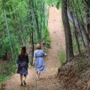 봉성산 공원 이미지