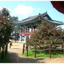 해지게길 이미지