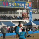 군민운동장 이미지