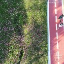 대천천1 이미지