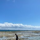 캠프스토리 이미지