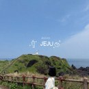 레몬의 꿈 | [제주여행]day1.2 제주 종달리 숙소_레몬의 꿈