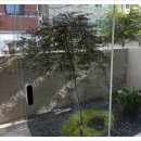 대중식육점