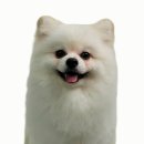 메모리멍 이미지