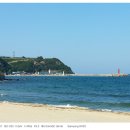 헌화로 이미지