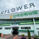 대화할인마트 이미지