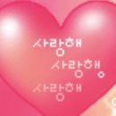 나너(YOU)우리(With) | 주책바가지의 박보검 2025 앵콜 팬미팅 후기 | [BE WITH YOU] FINAL IN SEOUL
