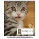 Re:학점 은행제 학사편입 할 때 질문이에요 [학사편입 경쟁률] 이미지