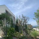 비고리조트 6 이미지