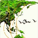 동읍 주민운동장 | ○창원여행 환경○ 昌原 CHANGWON. 철새탐방 &#34;대한민국 환경수도 창원&#34; &#34;겨울 철새들의 보금자리&#34; (주남...
