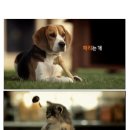 빌리는사람 이미지