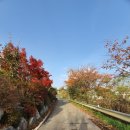 산책가는길 이미지