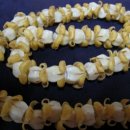 감꽃향기 이미지