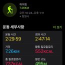 팔용동서식품 | 창원등산코스추천 등산초보도 쉽게 갈 수 있는 팔용산