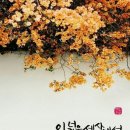 응암1동 주민센터 Daum카페