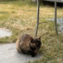 뽀야네 민박 이미지