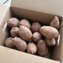 당산보부상 이미지