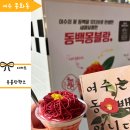 몽블랑핸즈여수 | 여수 낭만포차 디저트 몽블랑핸즈 동백몽블랑 아이스크림 먹은 후기 (내돈내산)
