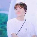 헤이버디 이미지