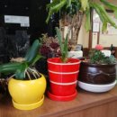 두곡동숯불갈비 이미지