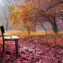 가을이 이미지