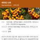 연중 제32주 평신도 주일(2022.11.6.일)- 박금수(필립보) 사목회장님 강론 이미지