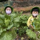 아리솔유치원 이미지