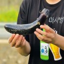 539민박 네이버블로그