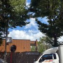 금하로14길 이미지