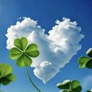 메리츠화재보험좋아~~~~~~(아) 이미지