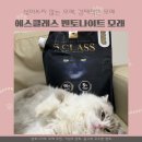 에스클라스(S class) | 고양이를 위한 S-Class, 에스클레스 블랙 벤토나이트 체험단 후기