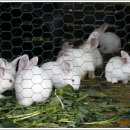 이작초등학교 이미지