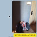 온유지스테이 | 부산 광안리 오션뷰 히노끼탕 숙소 온유지스테이 내돈내산 후기