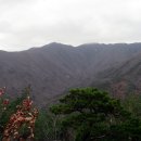 석남사주차장 이미지