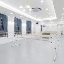 볼쇼이발레학원 네이버블로그