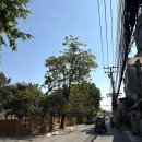 인형탈출대작전 | [치앙마이여행] #2 우당탕탕 새해 타페게이트 풍등 날리기 대작전