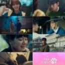 멍냥&꽁냥 이미지