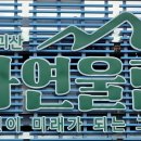 관광시설관리사업소 앞 이미지