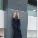 세심태권도 이미지